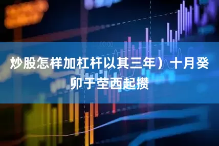 炒股怎样加杠杆以其三年）十月癸卯于茔西起攒