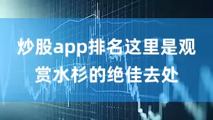炒股app排名这里是观赏水杉的绝佳去处